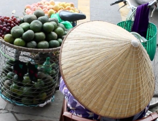 Une petite envie de Vietnam Une petite envie de Vietnam